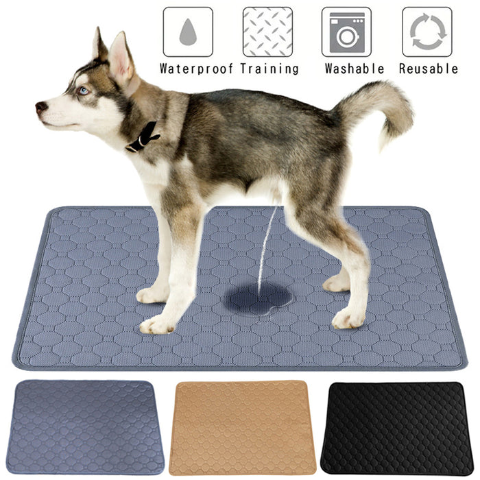 Pet Parents Pads Washable Dog Pee Pads Of Premium Pee Pads For Dogs Waterproof Training Pads For Dogs Reusable Dog Pee Pads Modern Puppy Pads