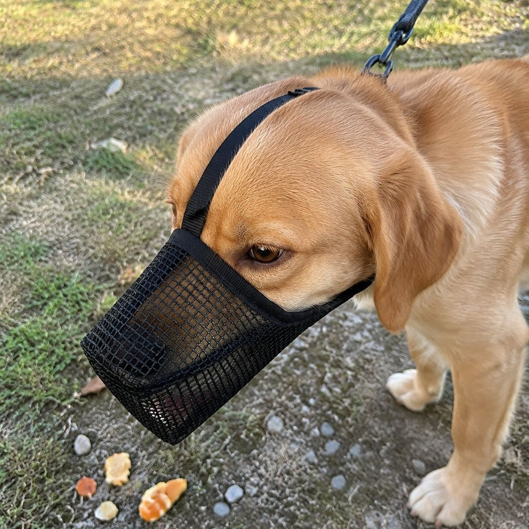 Adjustable Mesh Dog Muzzle for Bite Prevention
