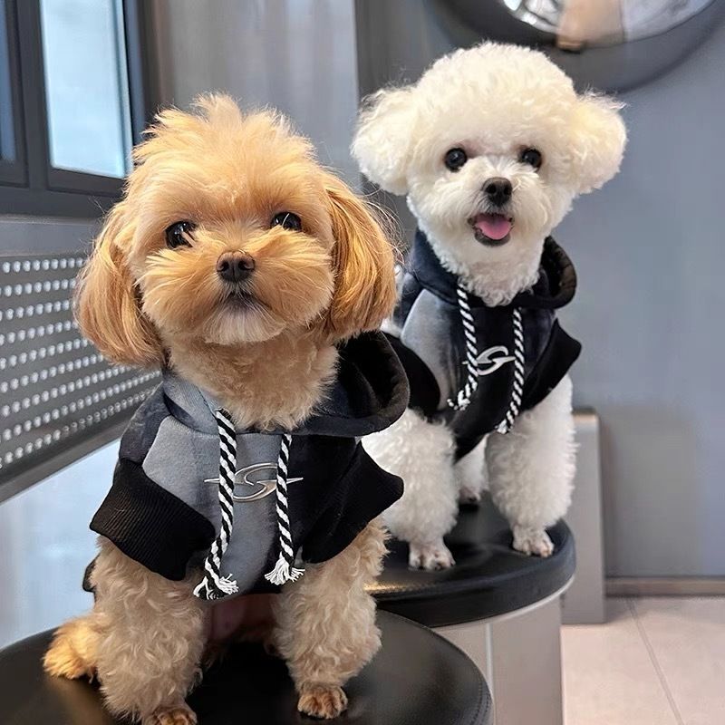 MASCOTAS