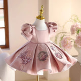 Vestido Rosa de Princesa para Niña, Eventos y Recitales | Imagen 3 | My Store Plus