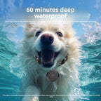 Localisateur GPS étanche pour chiens et chats compatible avec iPhone