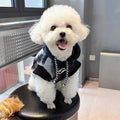 Pet Hooded Sweatshirt Gradient Style