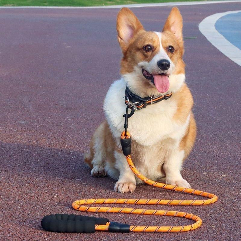 Reflective Anti Strangle Dog Leash