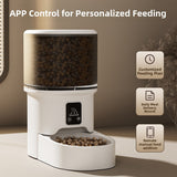 Automatic Pet Feeder with Remote Control and Timed Feeding