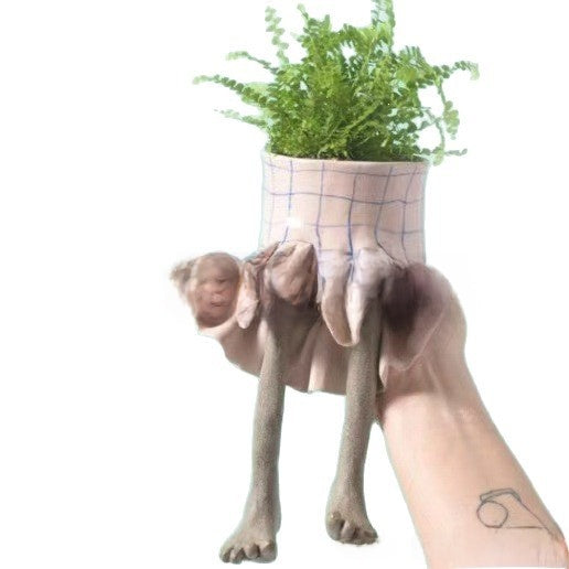 Maceta Decorativa Creativa con Forma de Cuerpo - vista 10