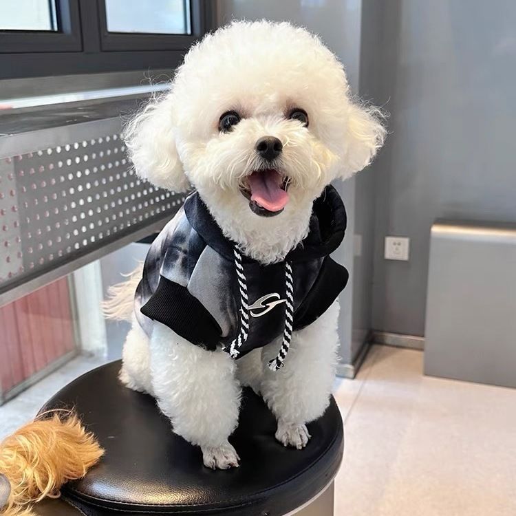 Pet Hooded Sweatshirt Gradient Style