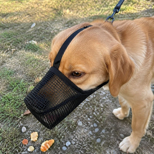 Adjustable Mesh Dog Muzzle for Bite Prevention